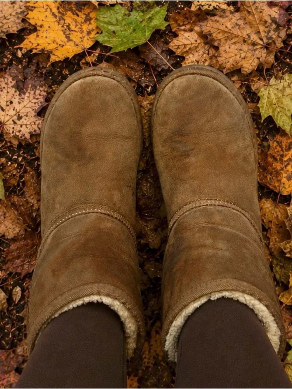 UGG Cozy chestnut Brown Shearling-Lined Short Boots